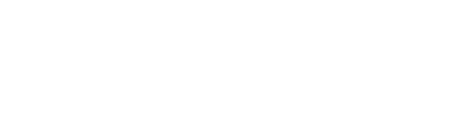 Logo blanc header Pin bleu